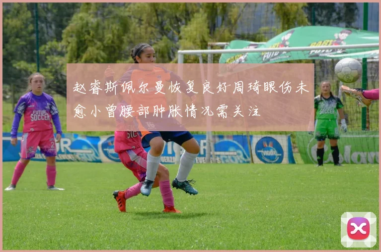 赵睿斯佩尔曼恢复良好周琦眼伤未愈小曾腰部肿胀情况需关注